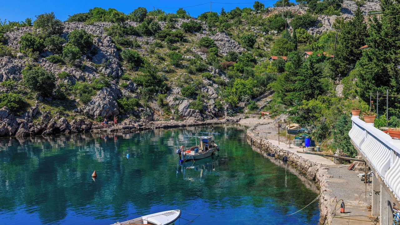 Photo of Others in Baric Draga