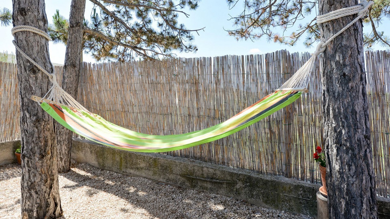 Photo of Outdoor in Vlasici