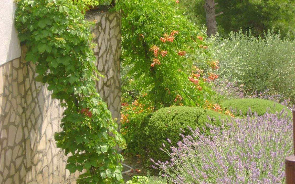 Photo of Outdoor in Rukavac