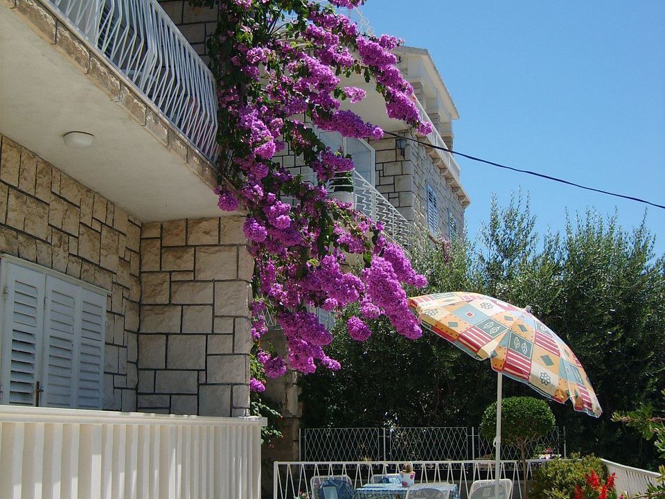 Photo of Patio Balcony in Borak