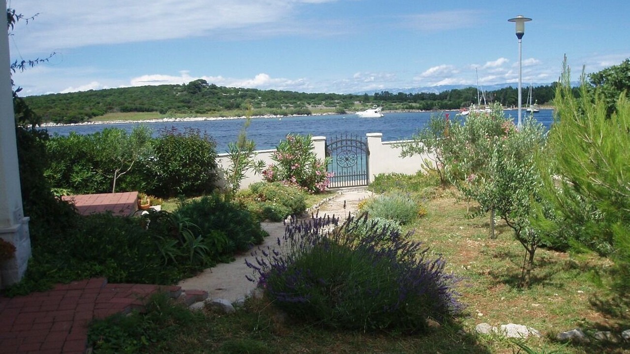 Photo of Outdoor in Ilovik