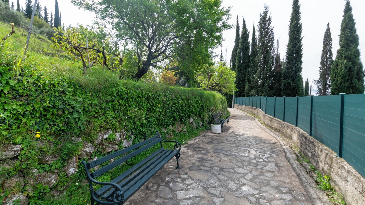 Photo of Outdoor in Trsteno