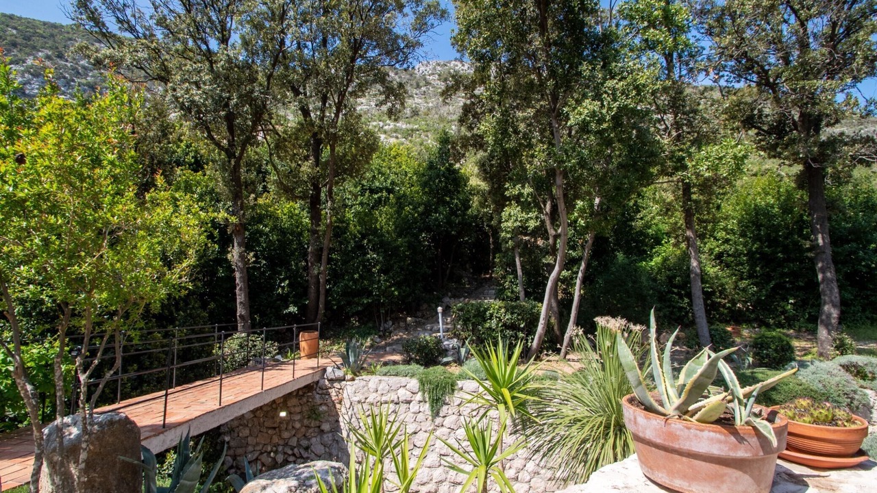 Photo of Outdoor in Trstenik