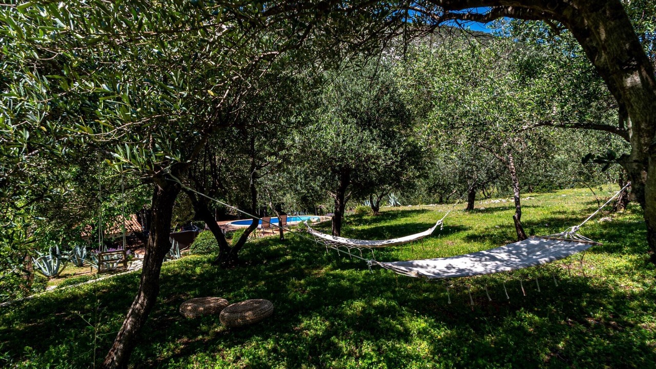 Photo of Outdoor in Trstenik