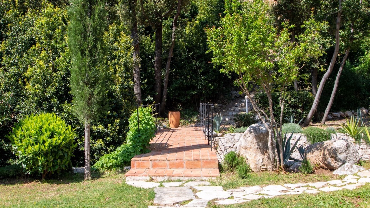 Photo of Outdoor in Trstenik