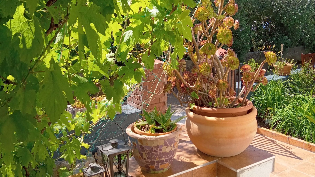 Photo of Outdoor in Batalaza