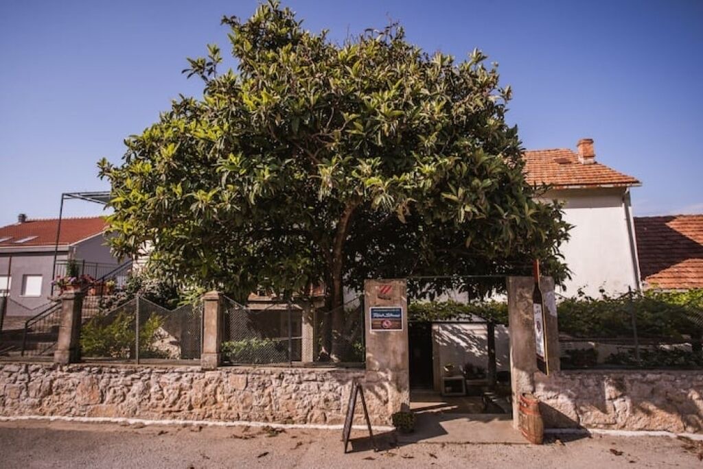 Photo of Outdoor in Potomje