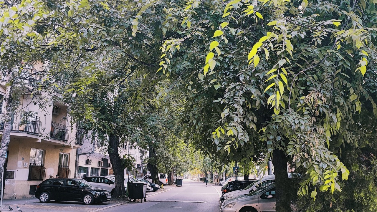 Photo of Others in Novi Sad