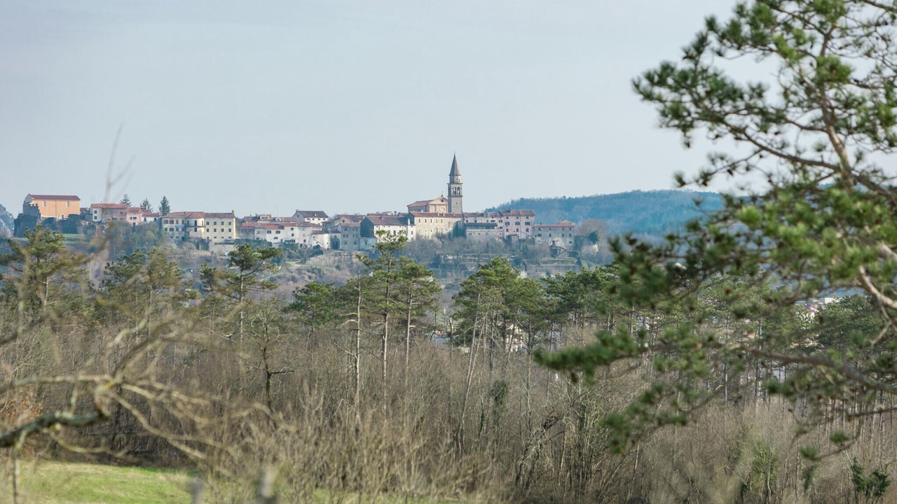 Photo of Bedroom in Buzet