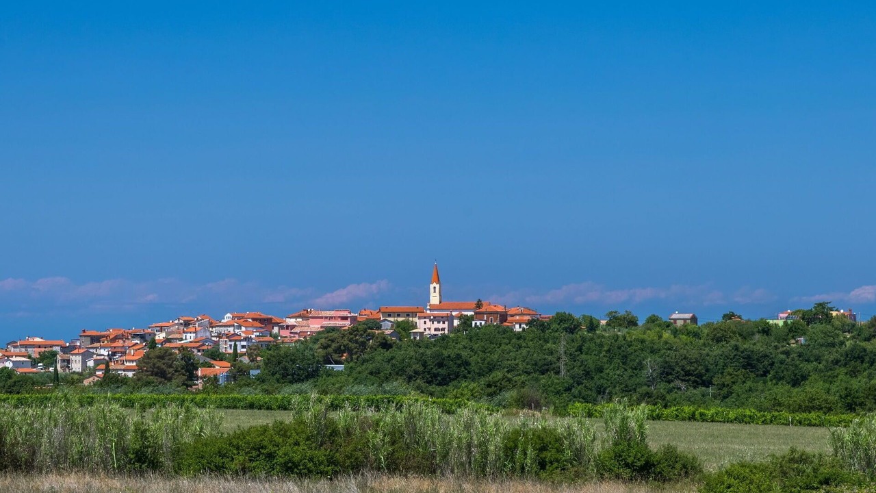 Photo of Others in Brtonigla