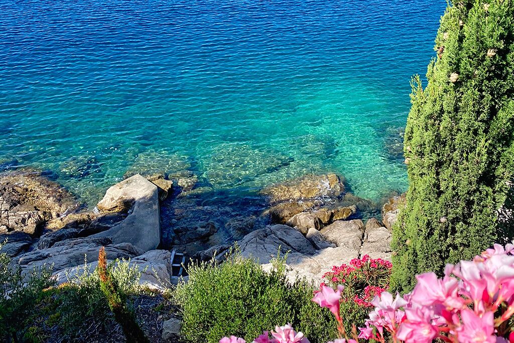 Photo of Others in Trstenik
