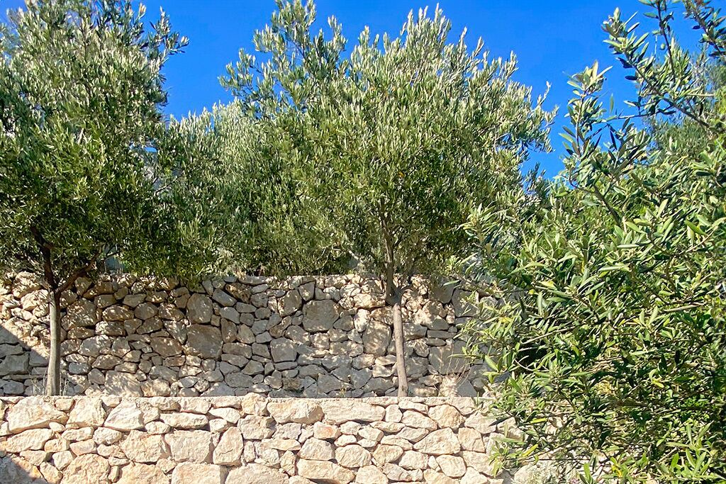 Photo of Outdoor in Trstenik