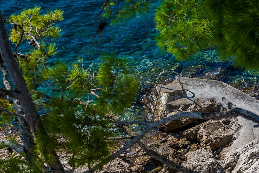 Photo of Others in Trstenik