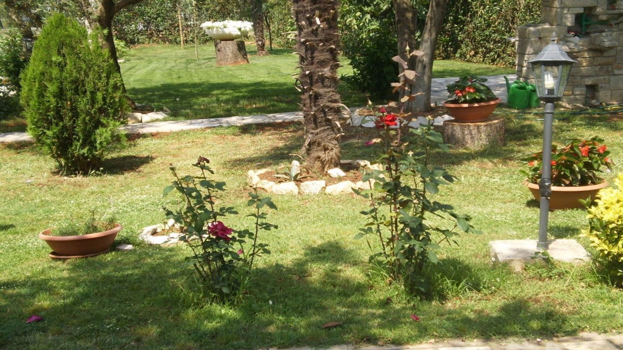Photo of Outdoor in Kukci
