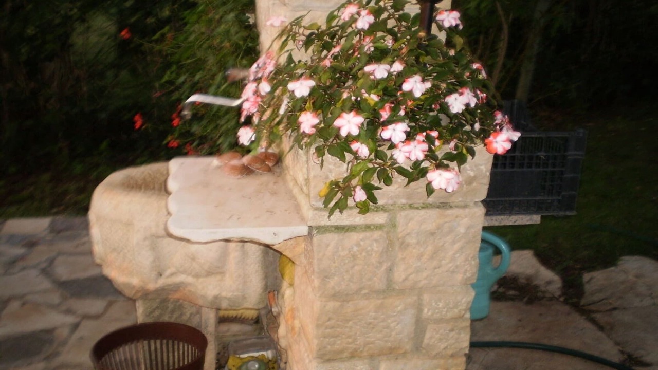 Photo of Outdoor in Kukci