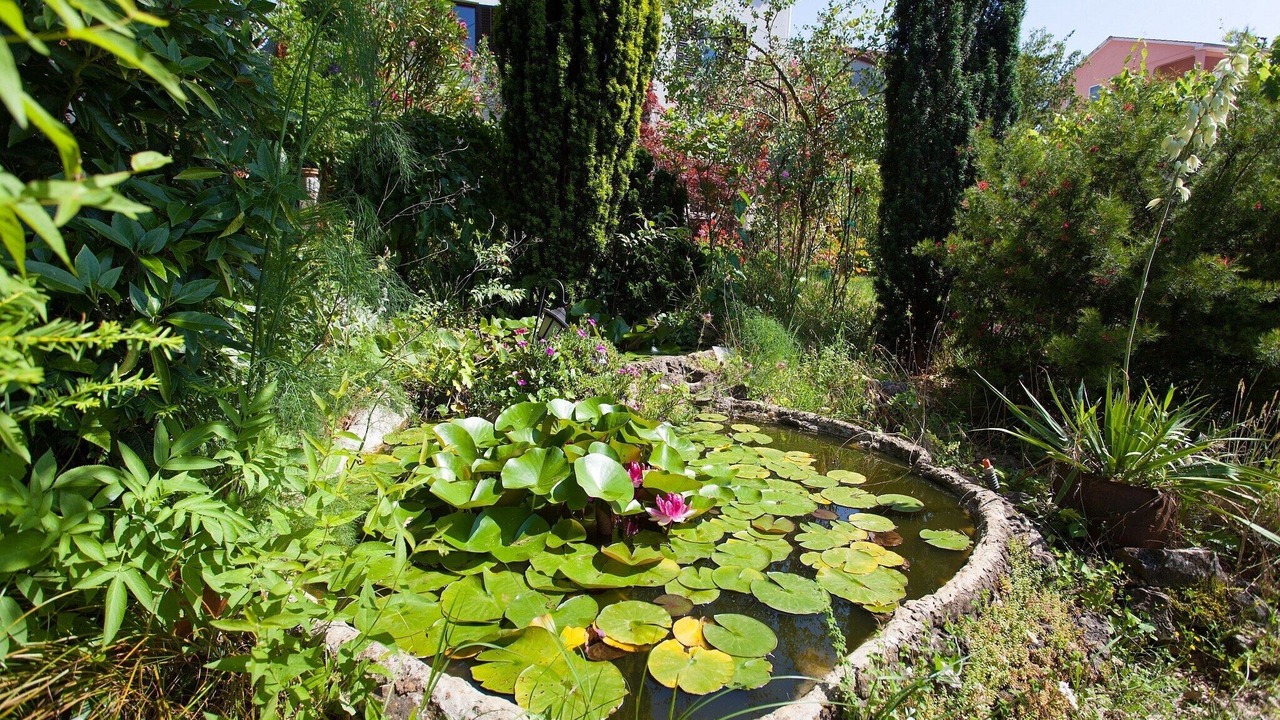 Photo of Outdoor in Bogovici