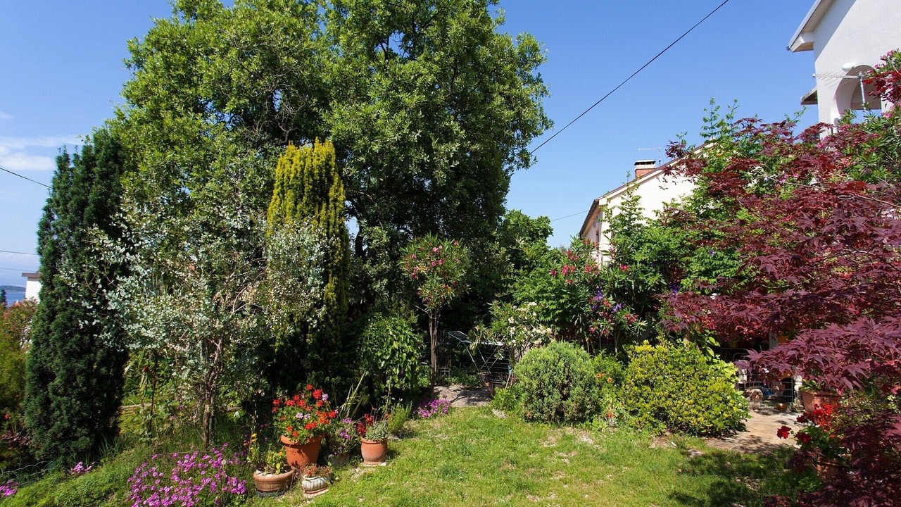 Photo of Outdoor in Bogovici