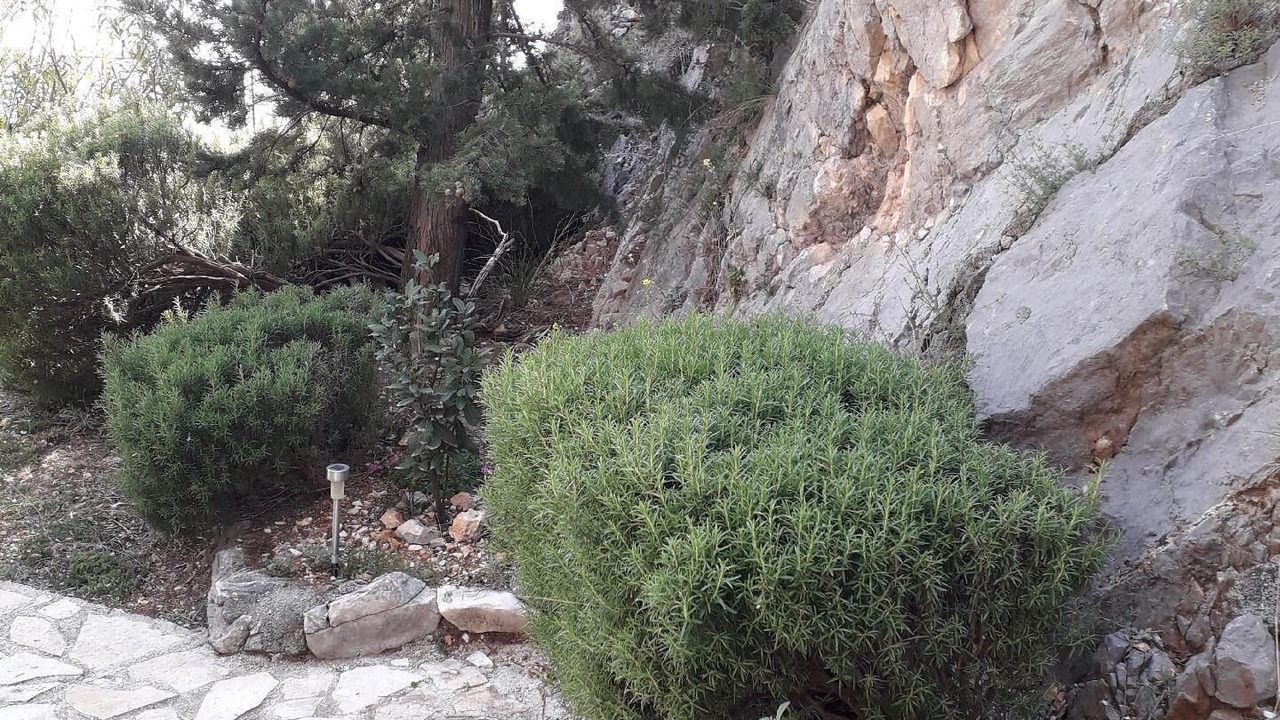 Photo of Outdoor in Tribanj