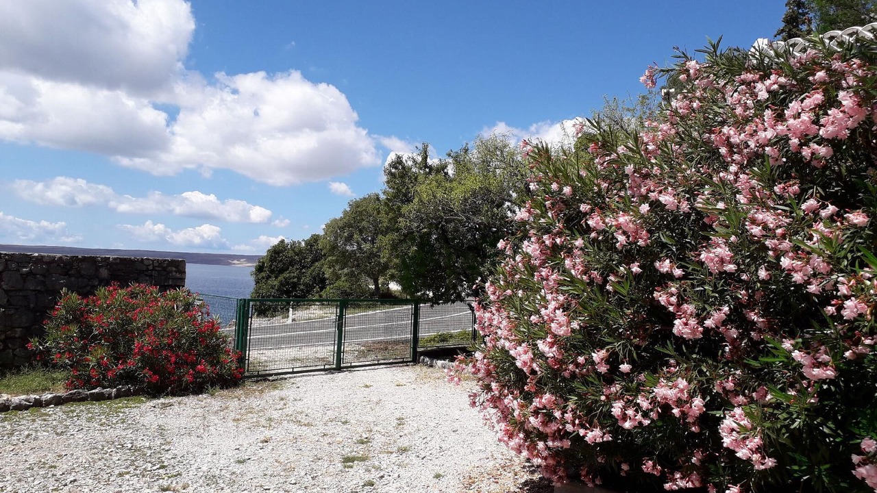 Photo of Outdoor in Tribanj