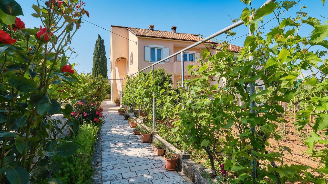 Photo of Outdoor in Nerezine