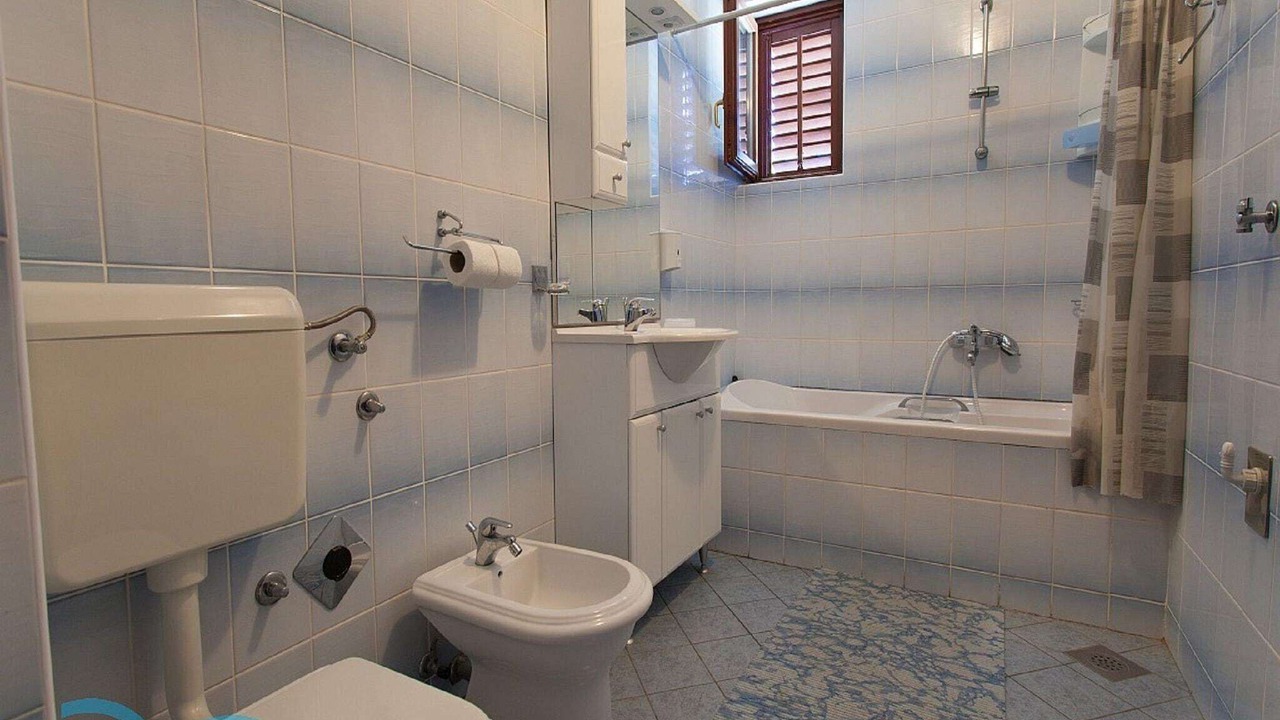Photo of Bathroom in Milcetici