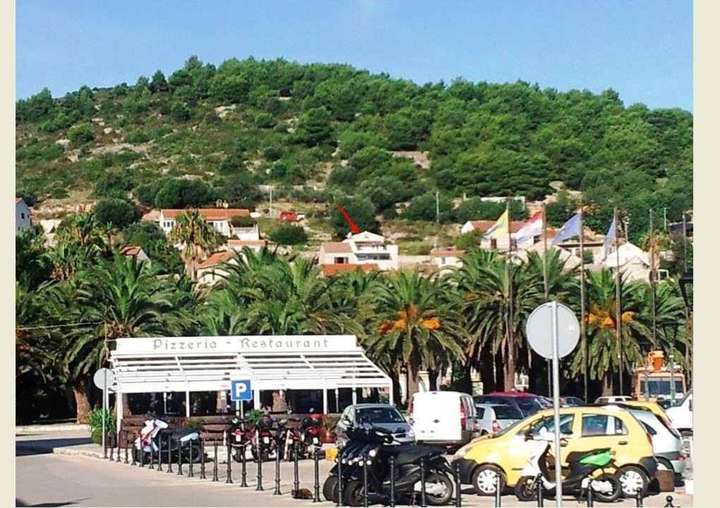 Photo of Others in Cove Rogacic