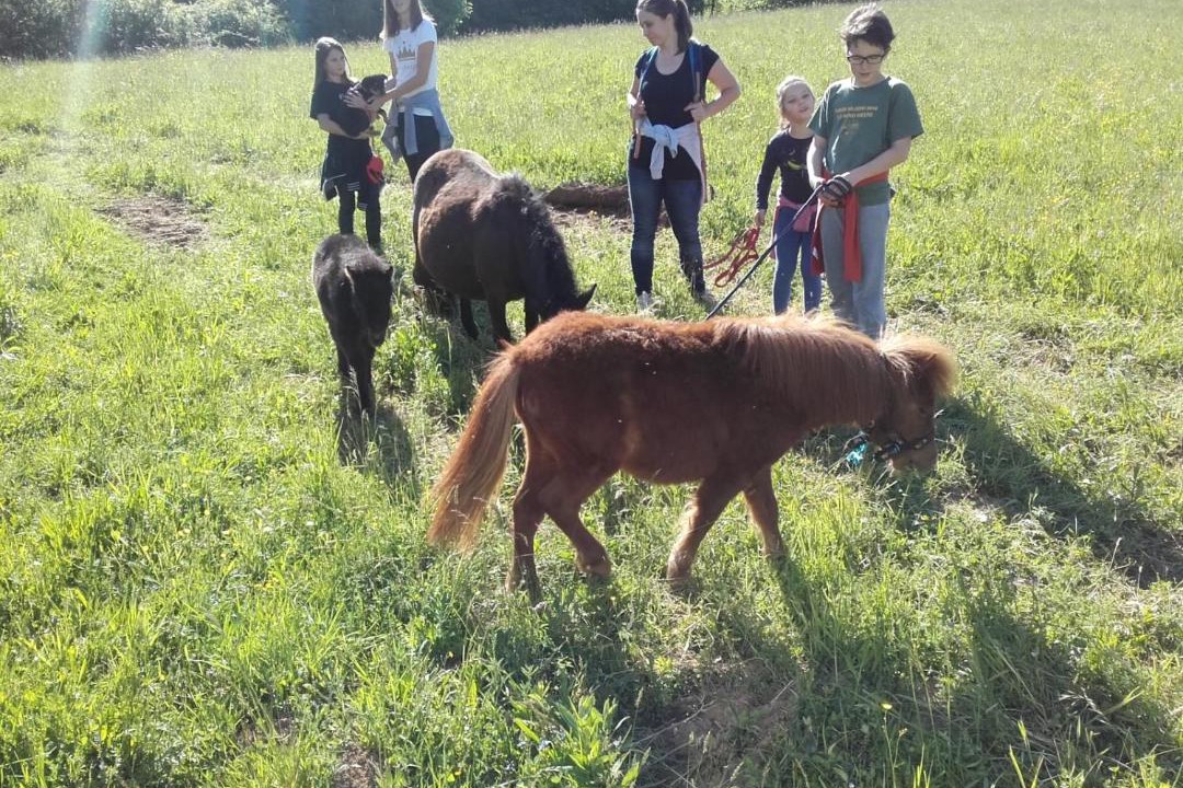 Photo of Others in Smarjeske Toplice