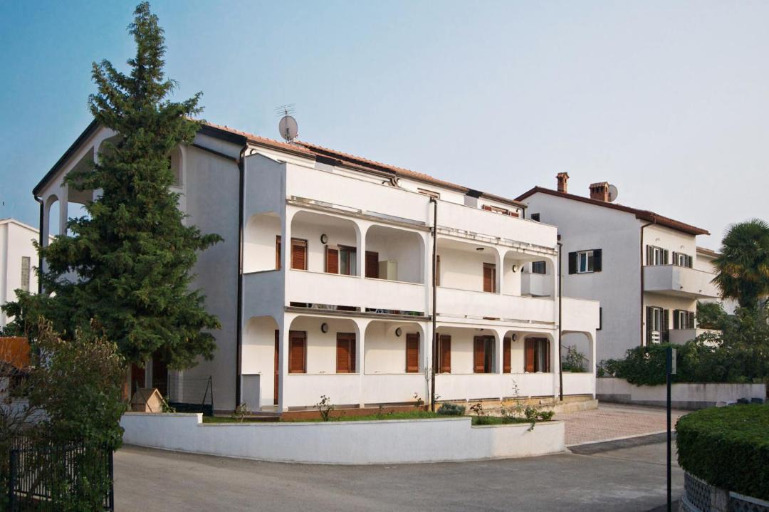 Photo of Others in Spadici