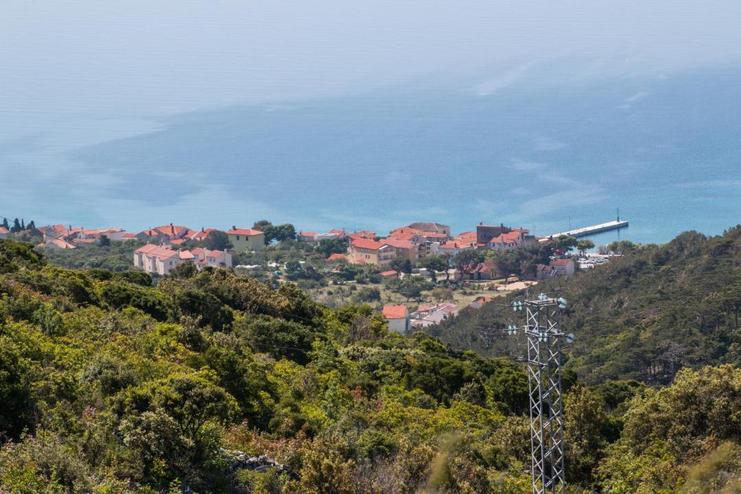 Photo of Others in Cres