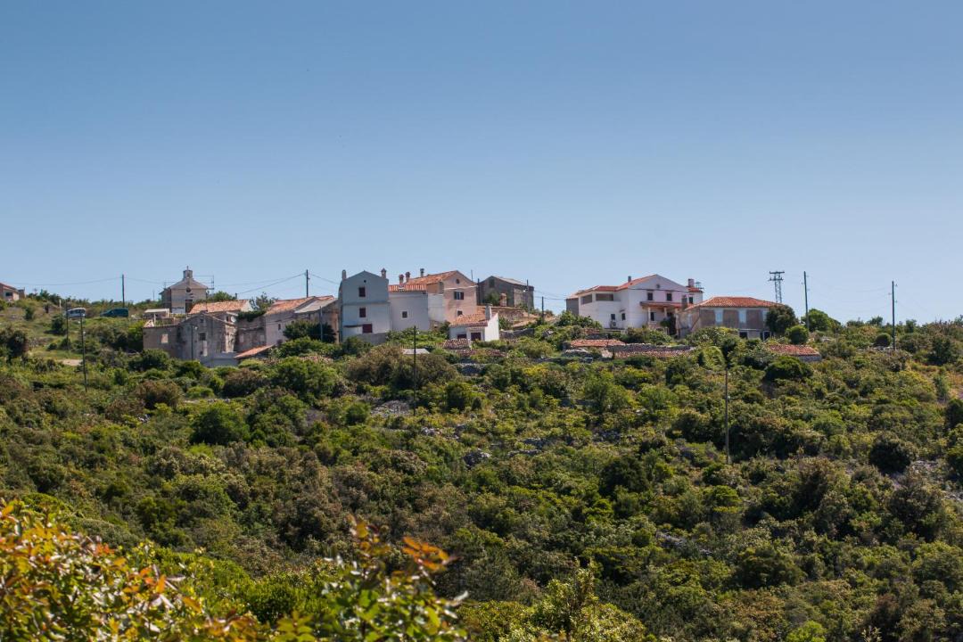 Photo of Others in Cres