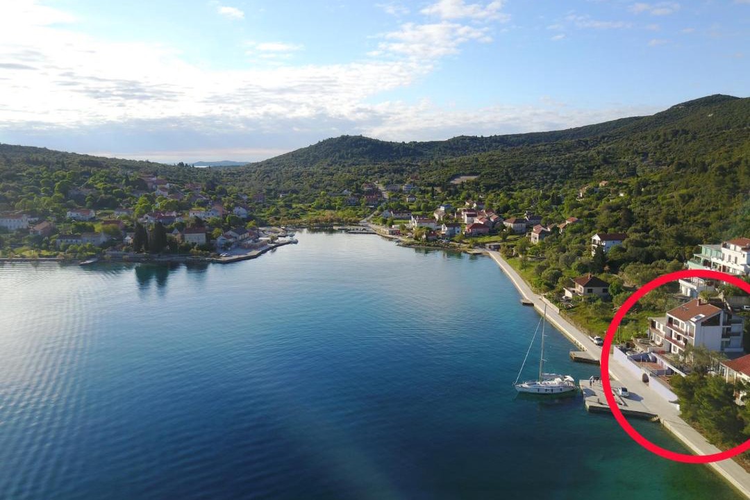 Photo of Others in Luka