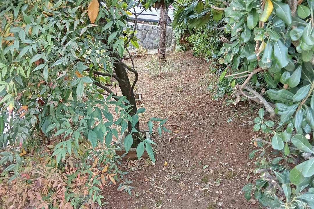 Photo of Others in Mihotici