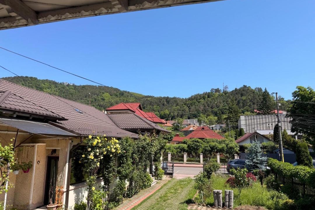 Photo of Others in Piatra Neamt