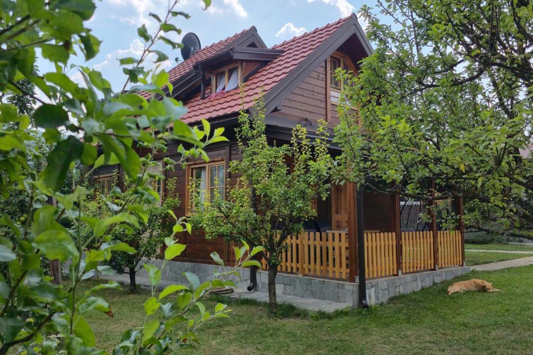 Photo of Others in Zlatibor