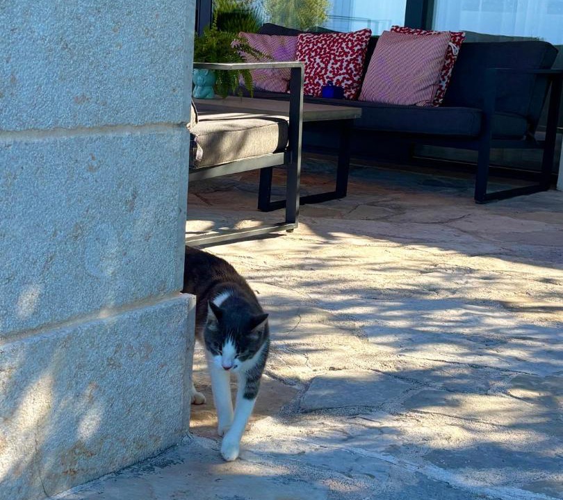 Photo of Others in Makarska