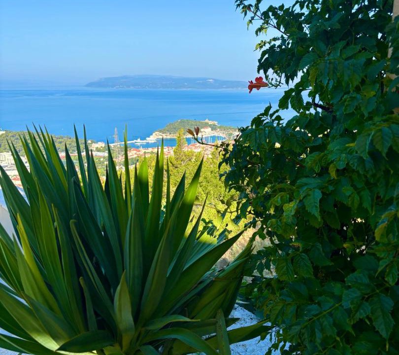 Photo of Others in Makarska