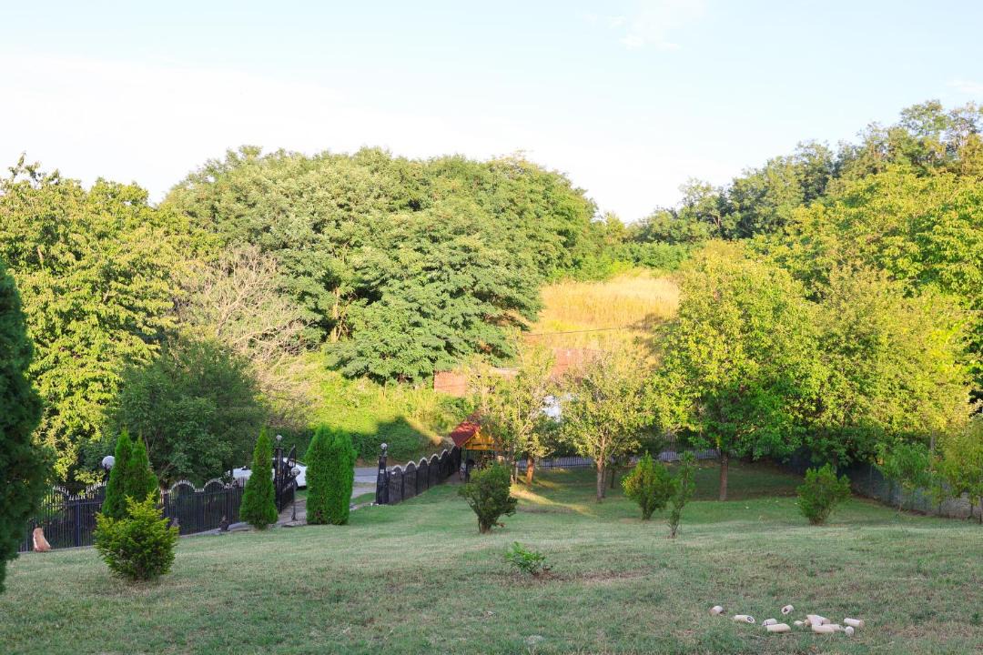 Photo of Others in Virovitica