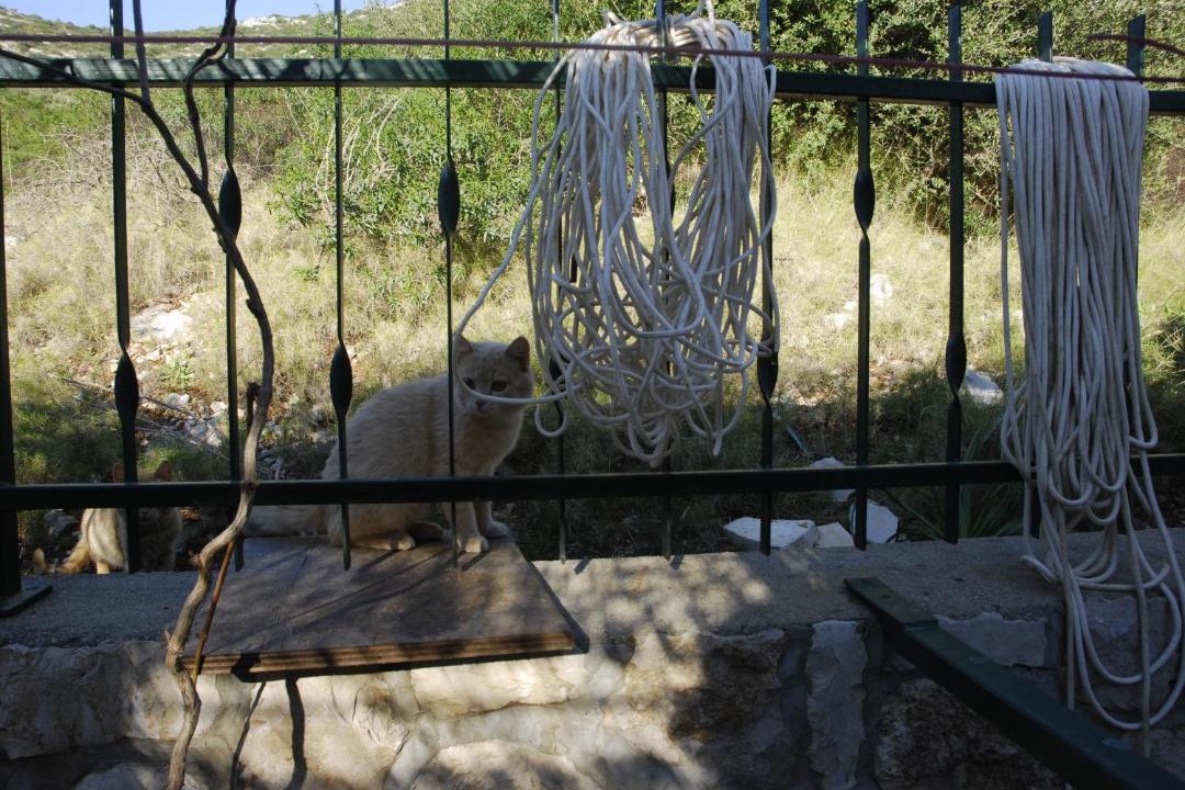 Photo of Others in Skrivena Luka