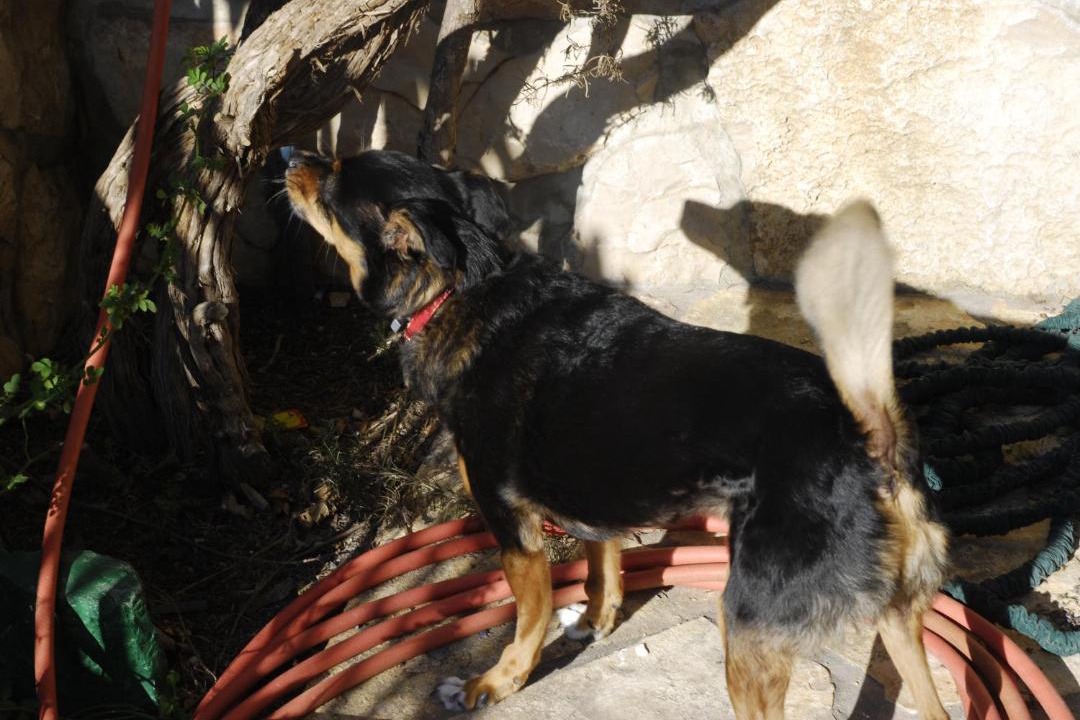 Photo of Others in Skrivena Luka