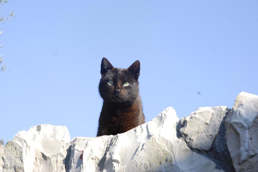 Photo of Others in Skrivena Luka