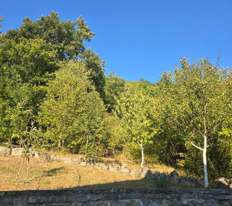 Photo of Others in Bihac