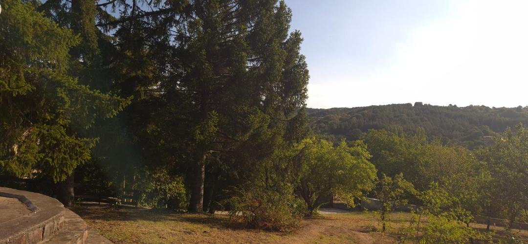 Photo of Others in Vrdnik