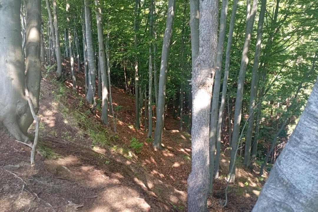 Photo of Others in Sumece