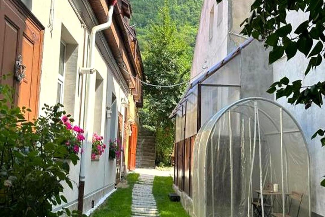 Photo of Others in Brasov City Centre