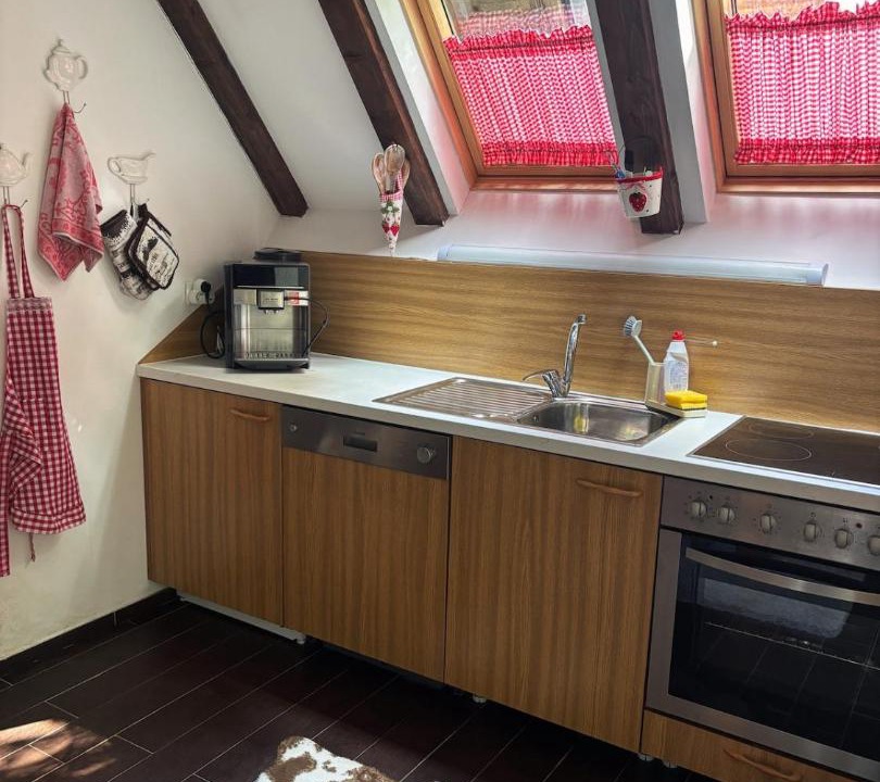 Photo of Kitchen in Brezovice