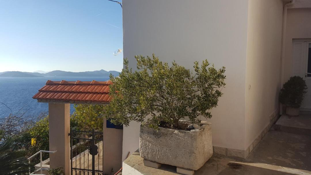 Photo of Patio Balcony in Trsteno