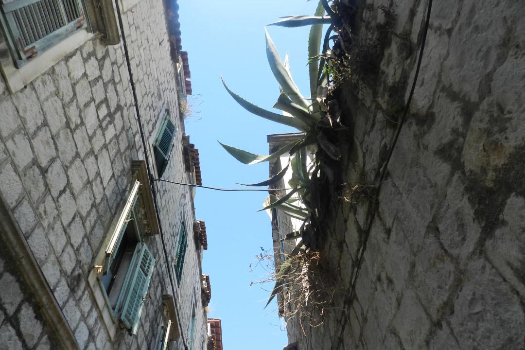 Photo of Others in Split