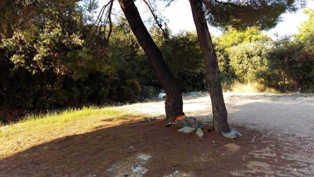 Photo of Outdoor in Brodarica