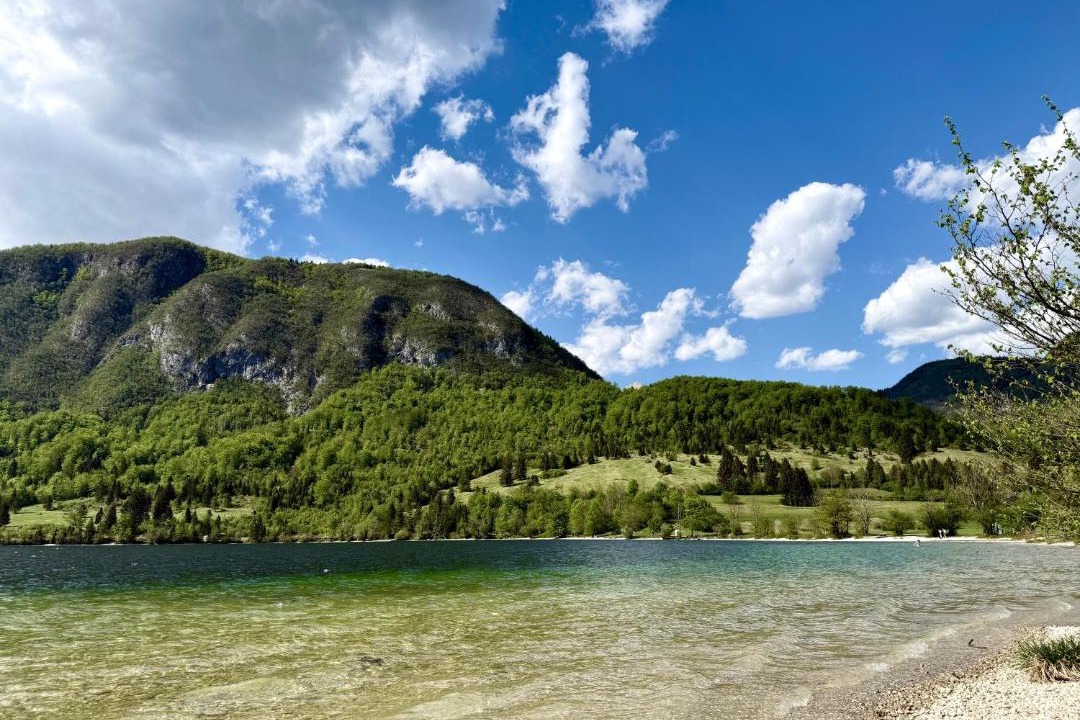 Photo of Others in Bohinjska Bistrica