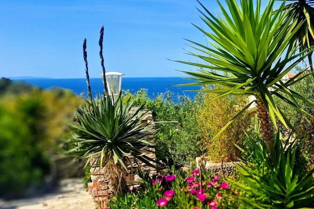 Photo of Others in Vela Luka